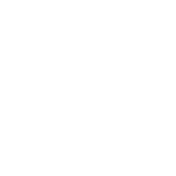 raylib icon